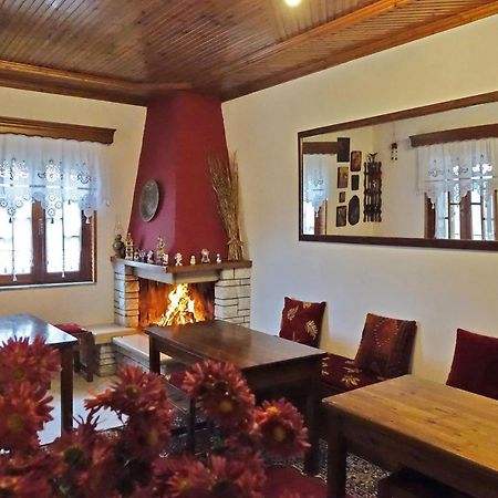 Traditional Guesthouse Alkistis Zagori 外观 照片