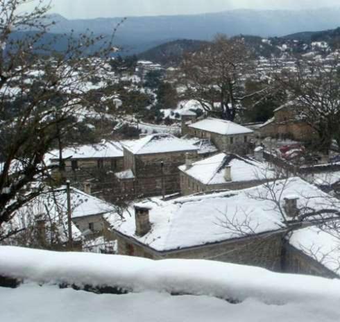 Traditional Guesthouse Alkistis Zagori 外观 照片