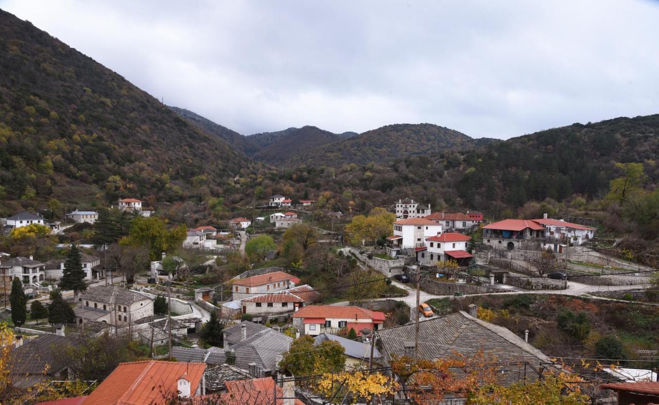 Traditional Guesthouse Alkistis Zagori 外观 照片